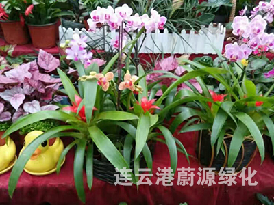 產品展示