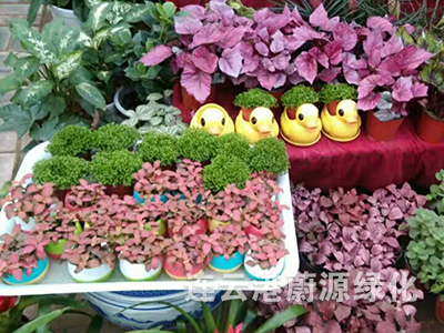 產品展示