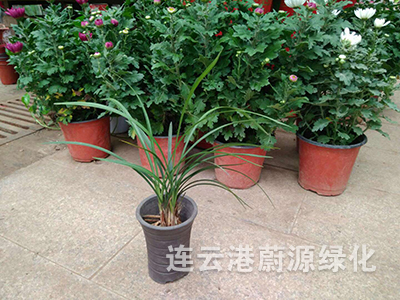 產品展示