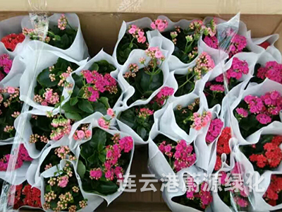 產品展示