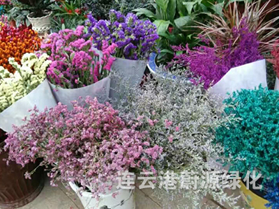 產品展示